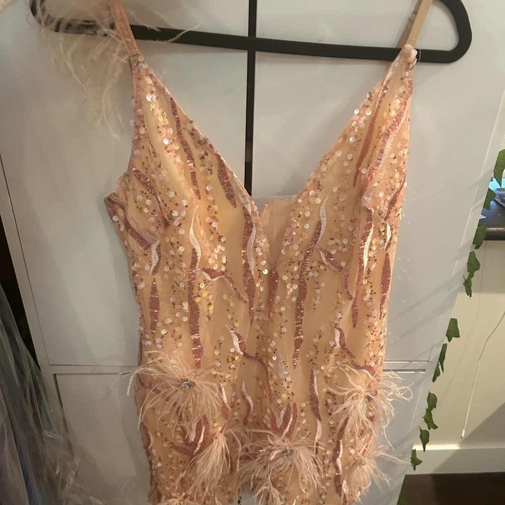 Sequin and Feather Embellished Dress